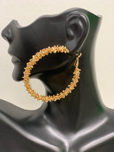 Load image into Gallery viewer, &quot;Crunch Crunch&quot; Hoop Earrings
